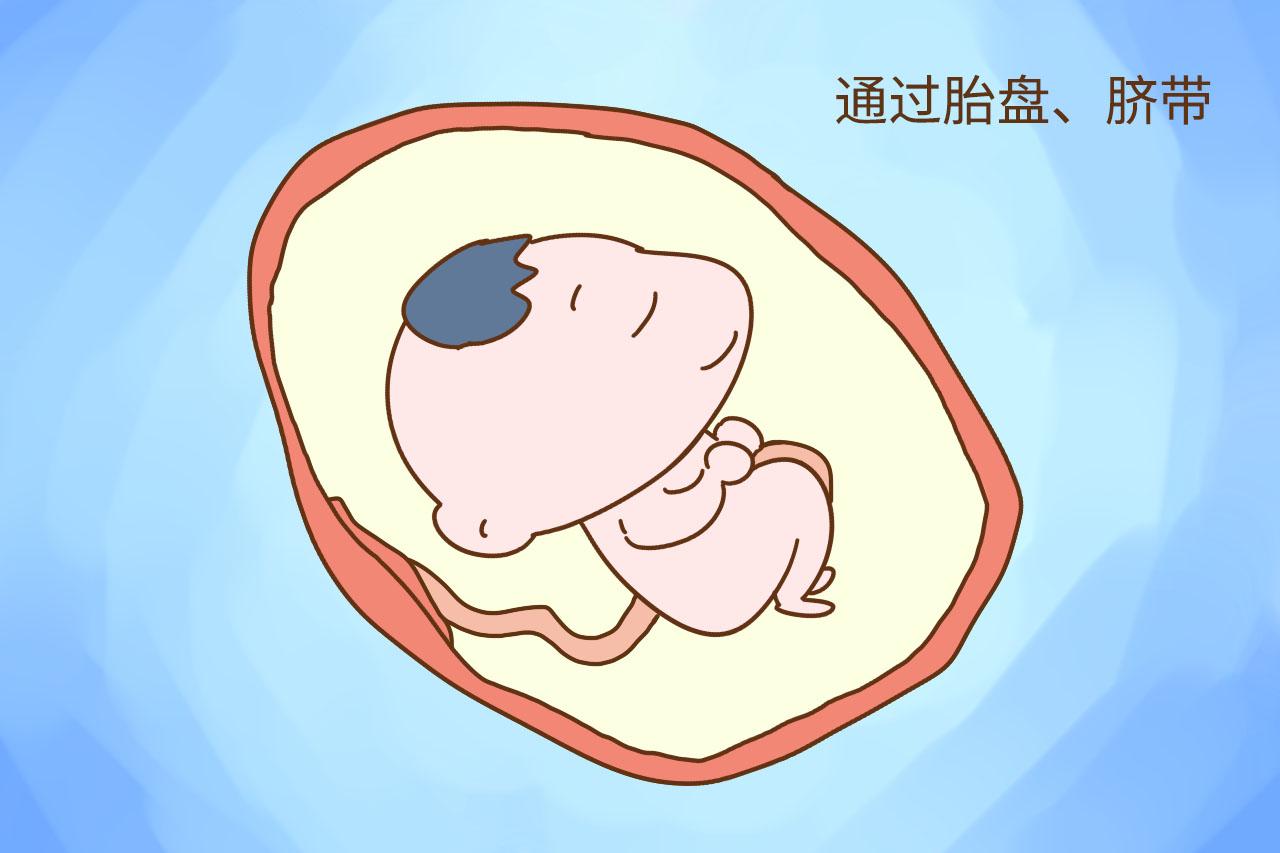 孕期真的是“一人吃两人补”吗? 准妈别做错, 真相和你想的不一样