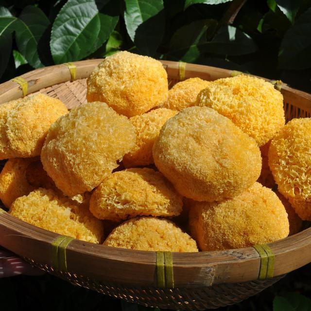 女人不想老太快, 常吃这些碱性食物, 滋养卵巢, 越吃越有女人味