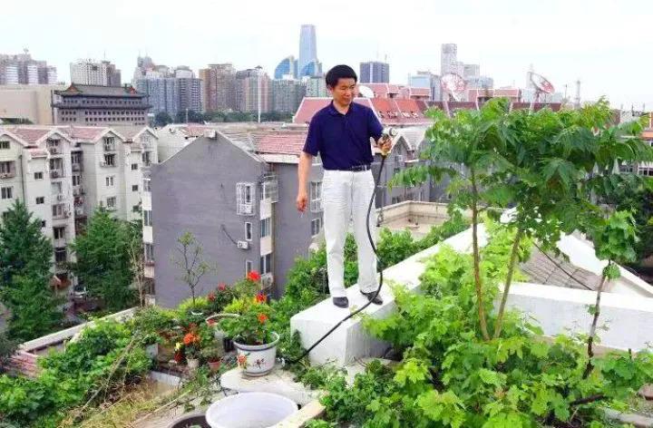 70岁大爷, 皇城边上建空中花园, 让人叹为观止!