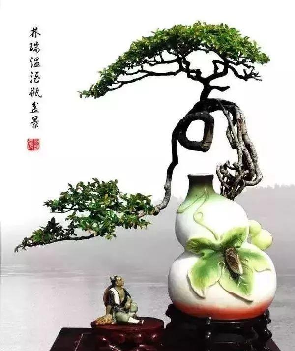 70岁大爷, 捡破酒瓶种花, 多少钱也不卖!