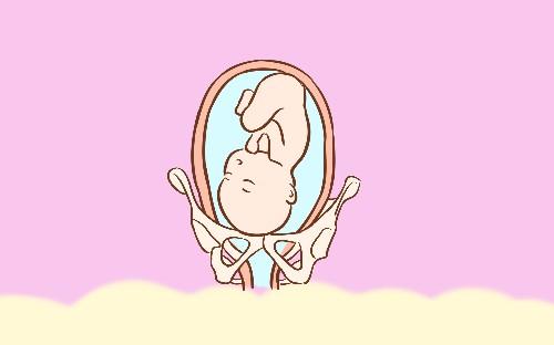 想知道宝宝的头和脚分别在哪个位置? 孕妈可以用这个妙招来判断