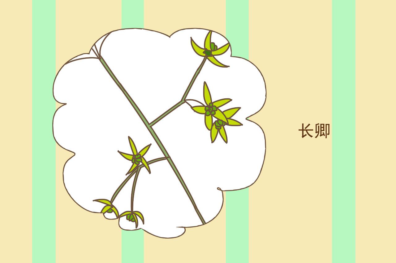 老公姓氏是大姓, 这样给孩子起名字, 大气文雅但又不烂大街