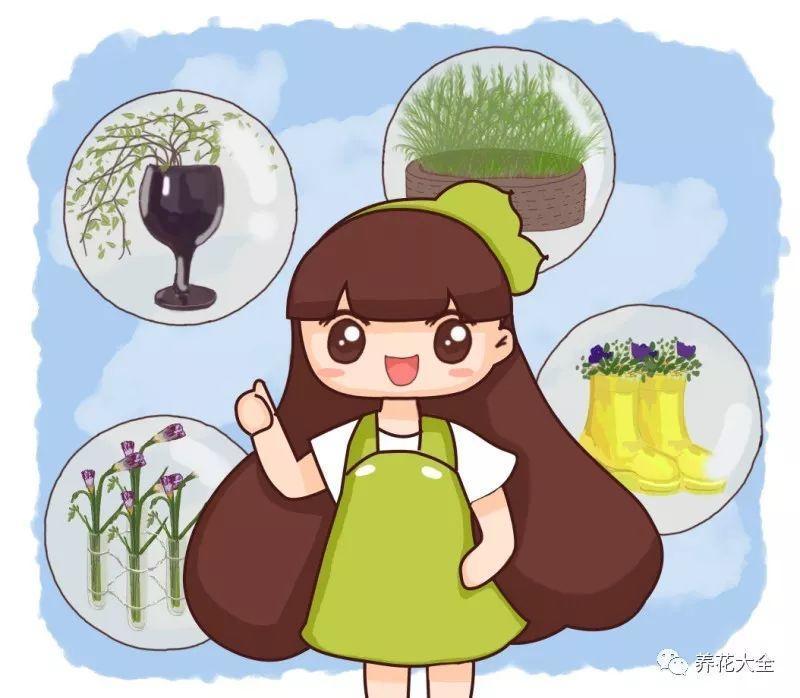 外出1个月, 有了这根旧鞋带, 家里的花照样长爆盆!