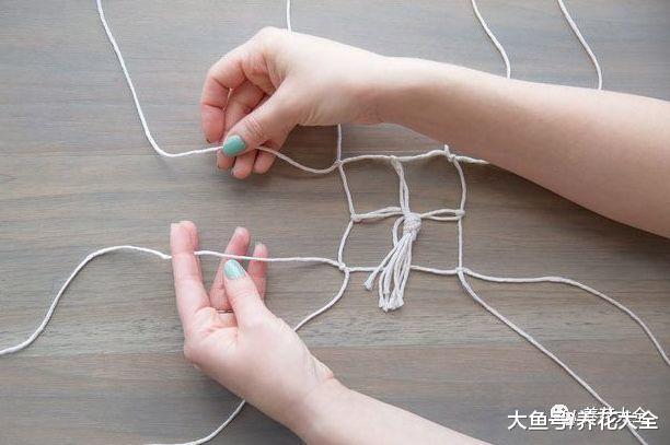 夏天多肉不通风? 给它做个吊篮, 好看又不占地!