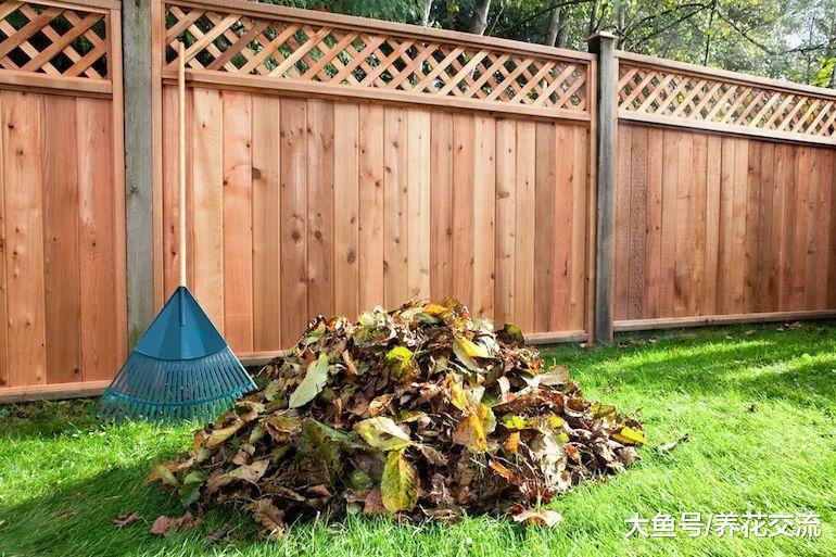 秋末打理庭院花园需要做好的10个准备, 养花也要注意细节