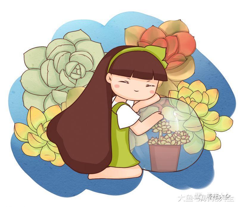 把多肉放水里, 不但生根快, 还越长越水灵! 多肉烂根又掉叶? 试试这一招, 蹭蹭长满盆!