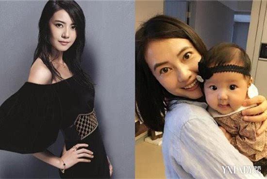 高圆圆肚子隆起, 网友纷纷送祝福