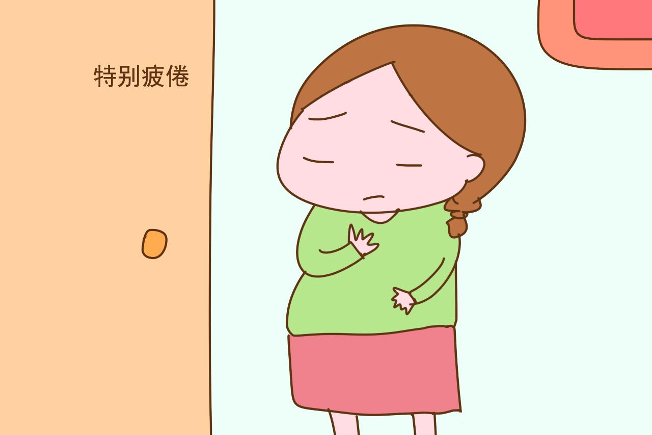首页 深度阅读 怀孕手册 孕早期不光孕吐难受 这几件糟心事也在