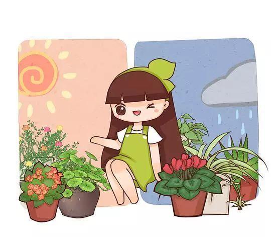 给花套个盆, 花开得比拳头大, 高温也能蹭蹭长!