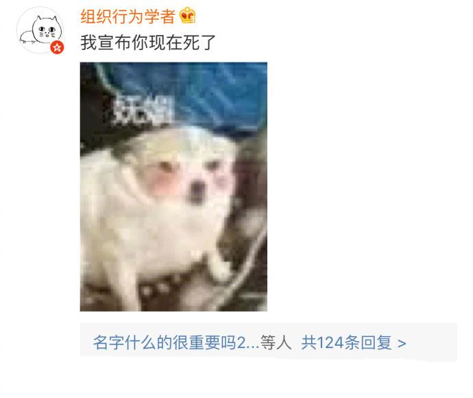 “有男朋友吗”“没有”“我宣布你现在有了”单身狗的气味好清新
