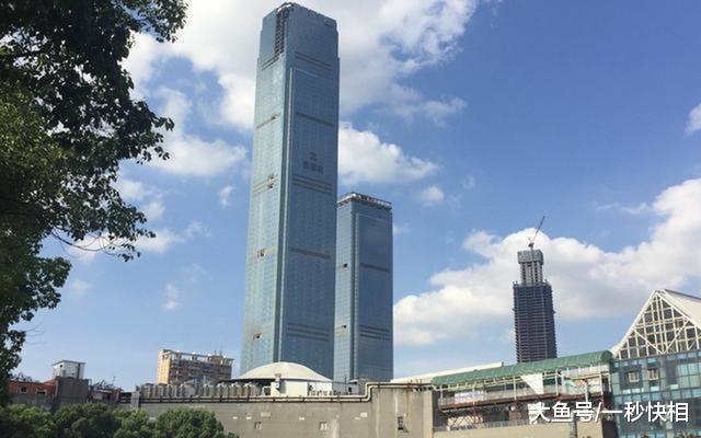 泰安市人口出生率_景区人口和计划生育责任目标管理奖惩兑现会议召开 -泰安(3)