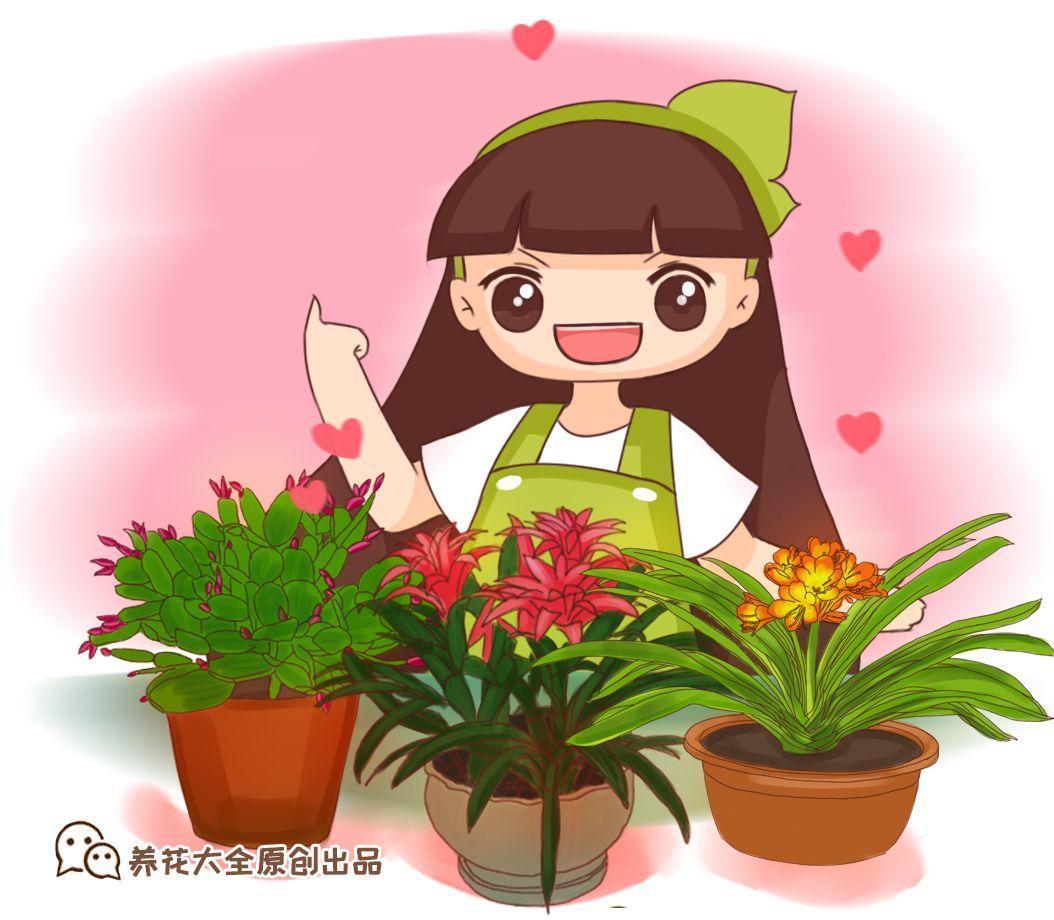 别养绿萝了, 这15种耐阴花, 给点光就能开爆盆!