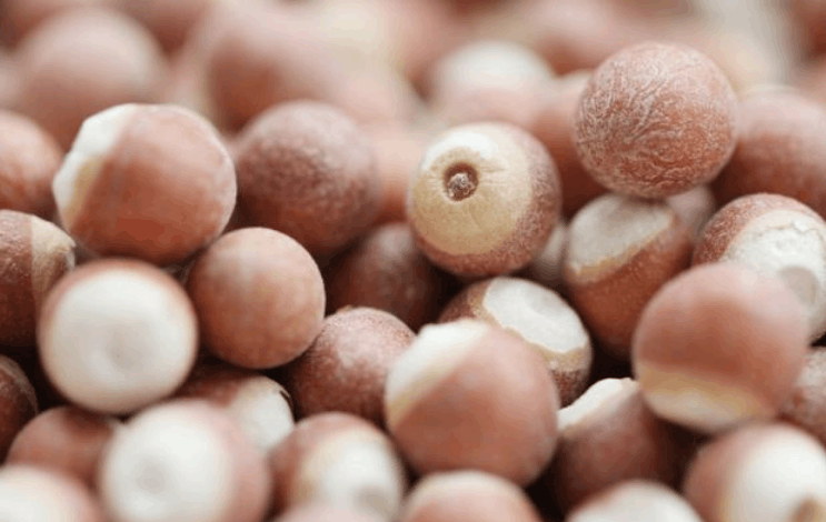 胃不好的人, 经常用4种“中草药”泡水喝, 胃不疼了, 身体更好了!