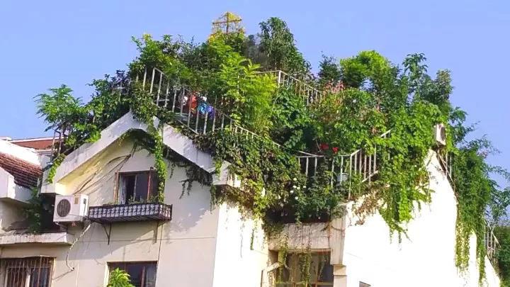 70岁大爷, 皇城边上建空中花园, 让人叹为观止!