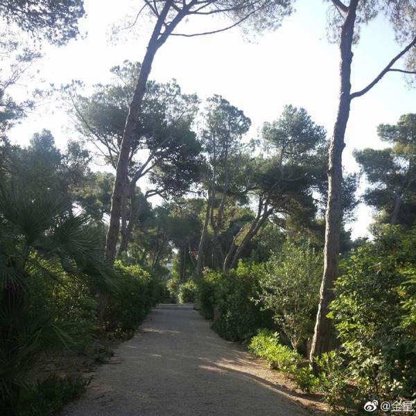 金星回欧洲海景豪宅度假 内部装修奢华还有大花园
