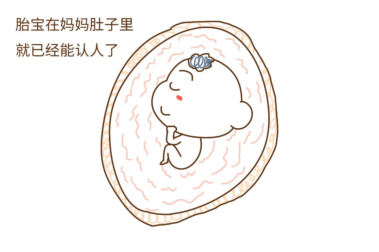胎动的时候, 为什么孩他爸一摸就不动了, 难道胎宝可以认人?
