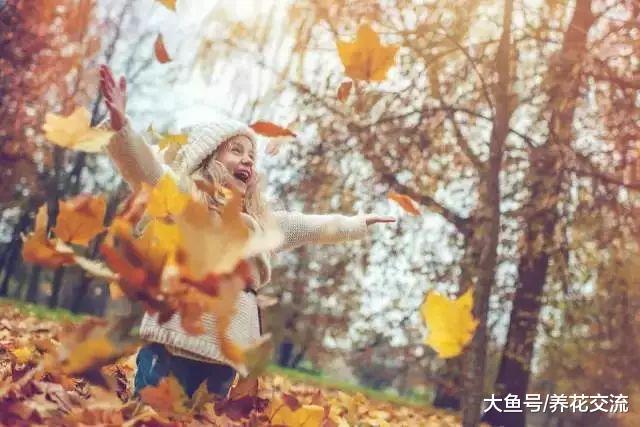 用这5种方法可以把秋天七彩的落叶永久地保存起来