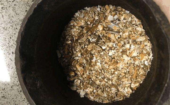 吃剩的海鲜壳别浪费, 给花用了, 蹭蹭长个冒花苞!