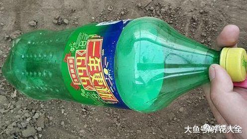 用完的瓶子千万别扔, 简单一加工, 就是养花的宝贝!