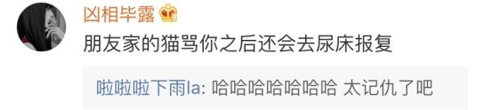 当猫咪暴躁起来, 它能骂你一宿