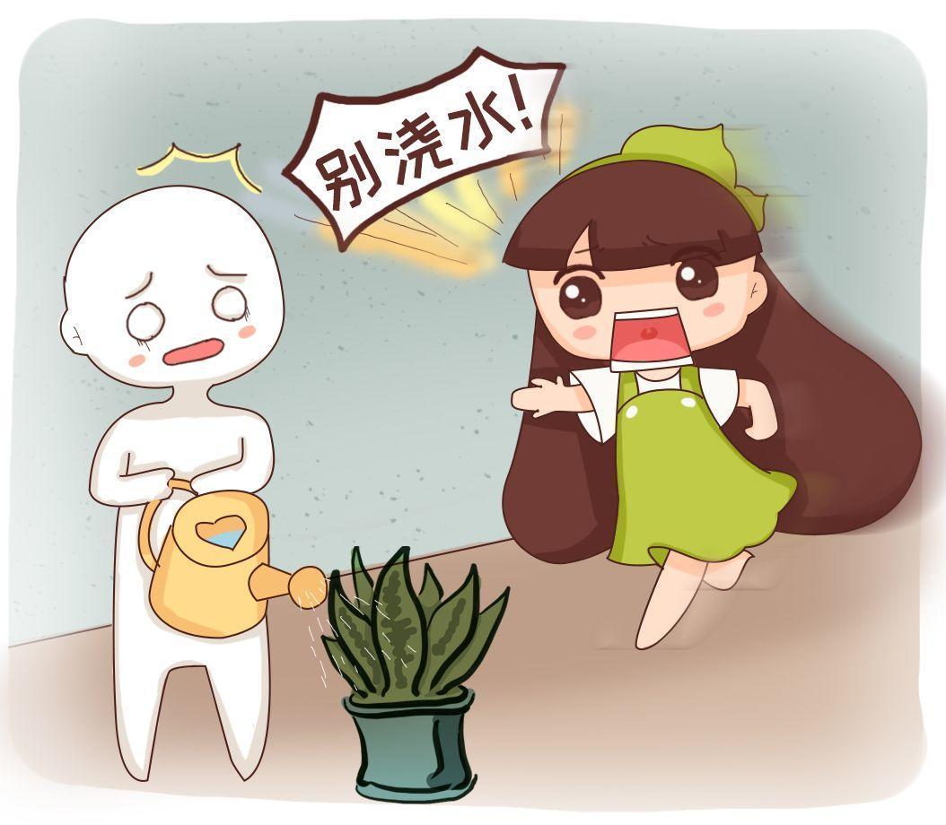 这10种花别乱浇水, 水浇的越多死的越快!