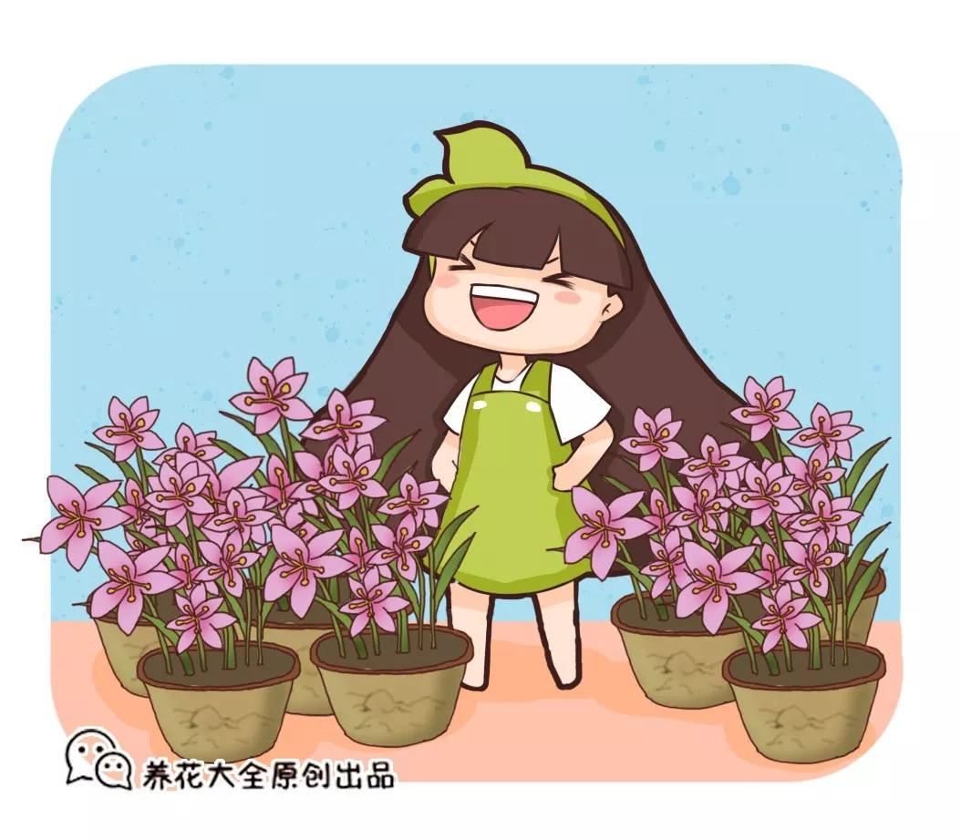 轻轻一掰, 吊兰1盆变10盆, 轻松长满阳台!