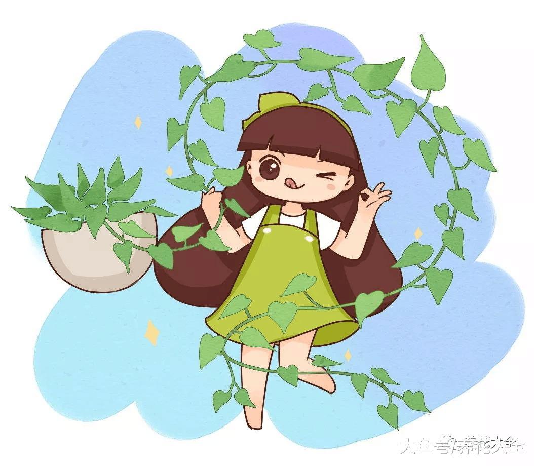 给花喝口“鲜鱼汤”, 猛蹿狂长20米, 拦都拦不住!