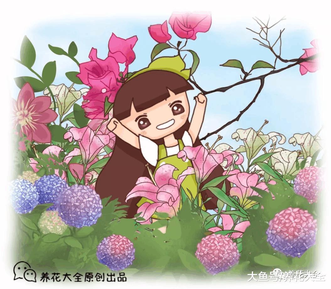 这6种花随便扔土里就能活, 365天开花不断, 3岁小孩都能养!