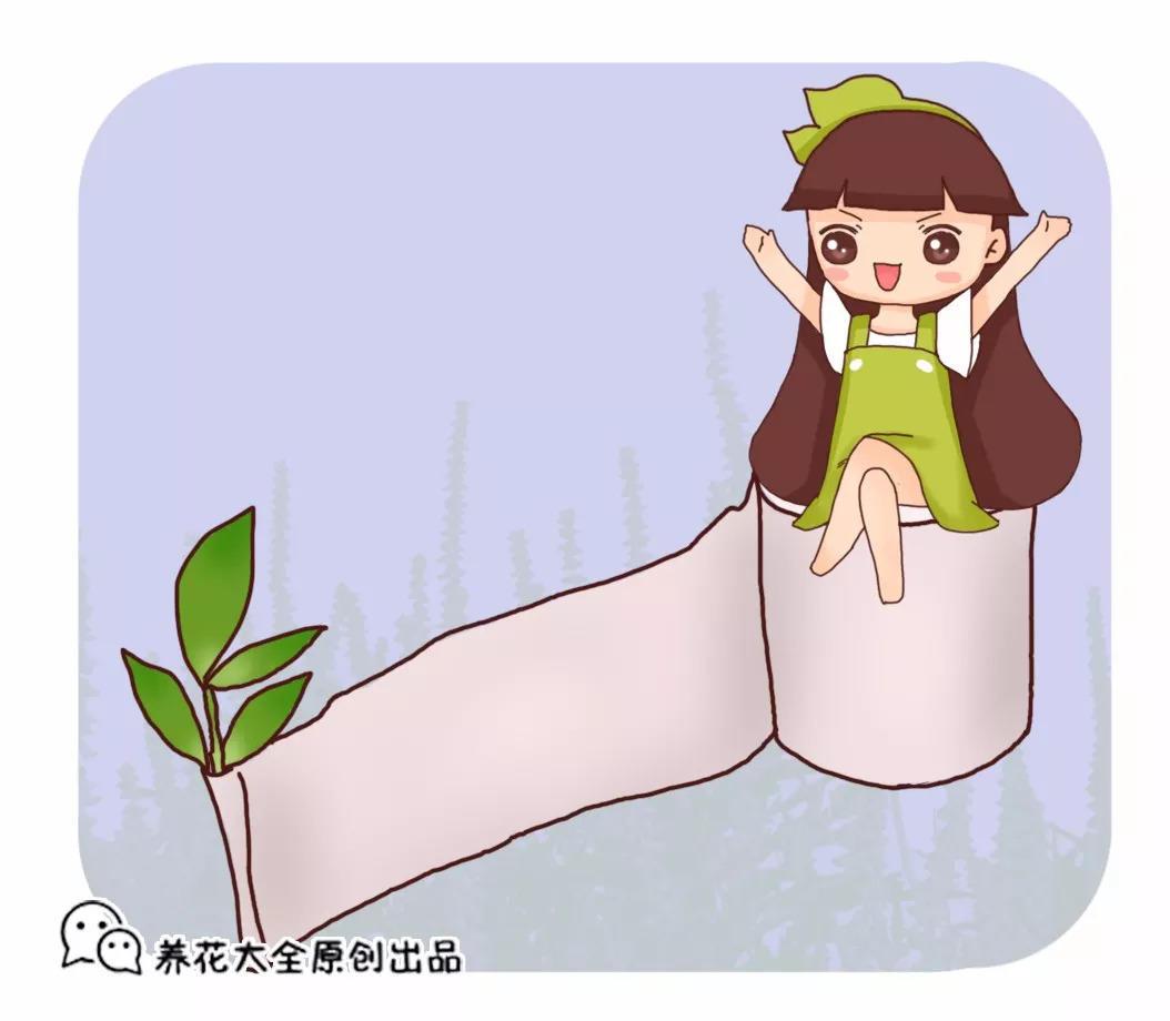 掐根枝裹张纸, 7天冒出大白根, 3岁小孩都能插活!