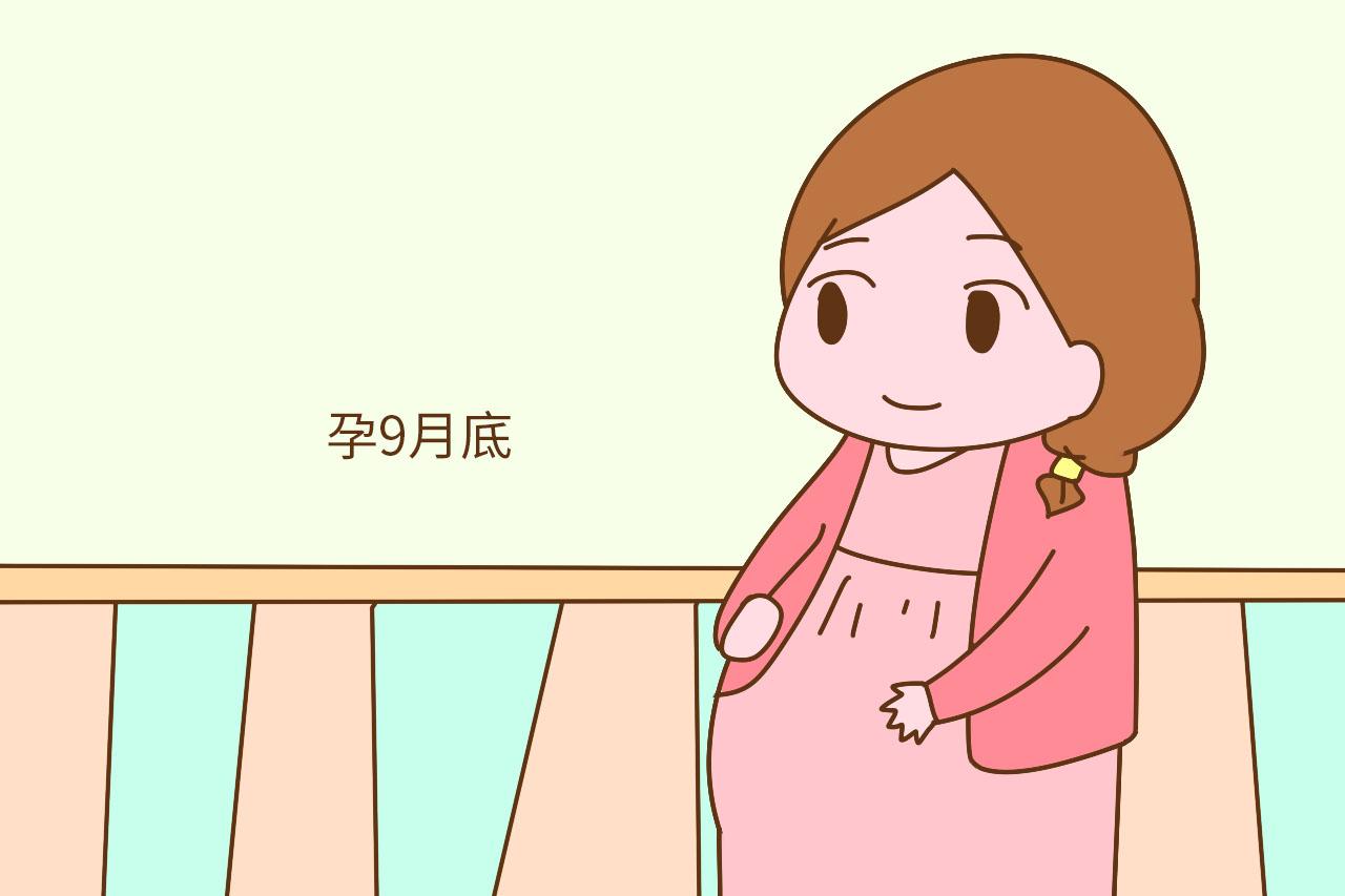 到底什么时候该休产假? 孕38周还上班, 老公抱怨太拼又任性