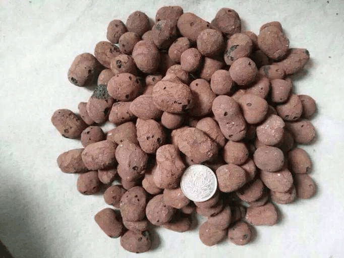 给花换土, 就往里掺这3样“石头”, 不花钱, 花根壮!