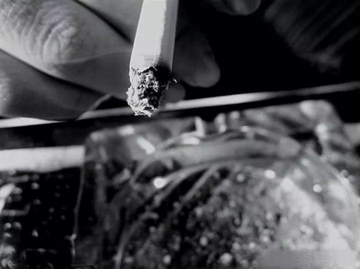 奶奶给花撒层“灰”, 叶不黄花照开, 零下10度冻不死!