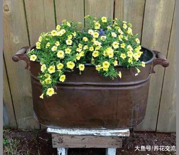 17种用家里的废弃物品制作出来的盆栽花卉, 变成迷人的景观