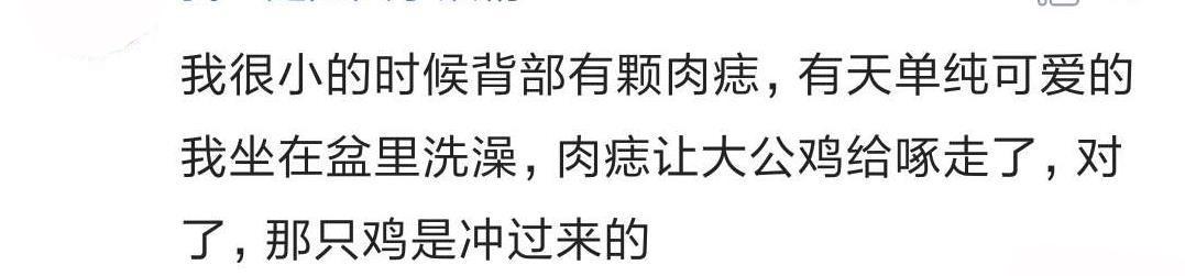 年少时你有没有被家禽怼过? 笑的我滚到桌子下面去了