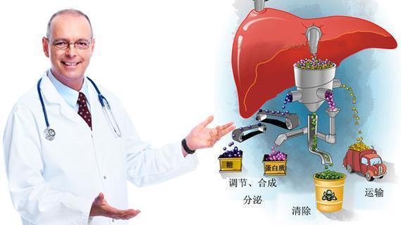 肝脏不疼不痒, 但身体出现五种变化, 是肝脏已受损, 抓紧养肝吧!