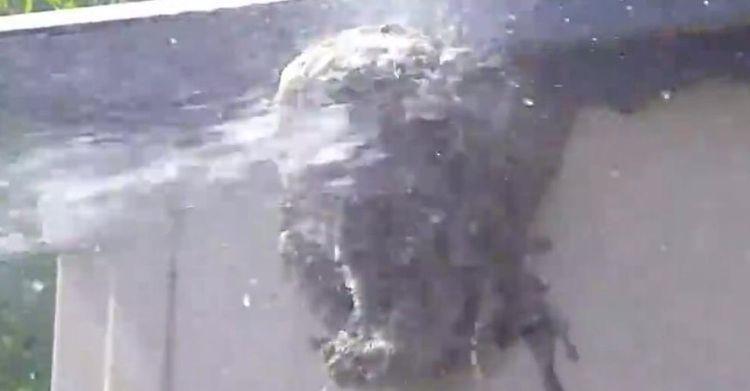 女子半年不回家, 家里来了不速之客, 让女子不敢进家门