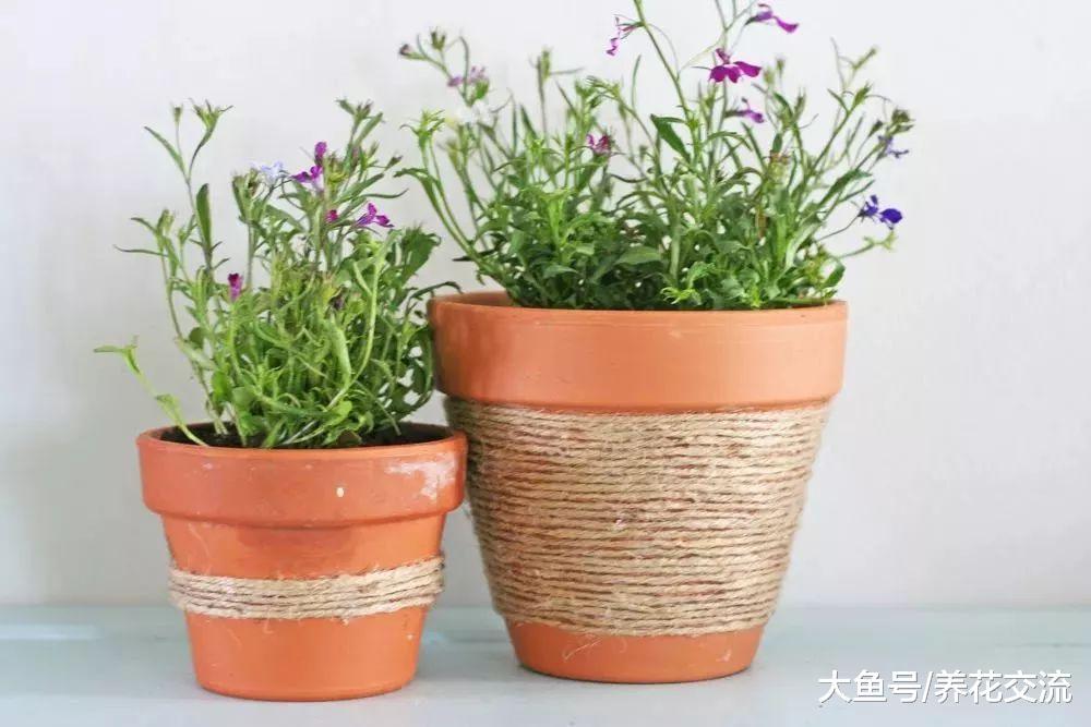 用这些彩色的材料改造红陶盆, 普通的花盆看起来也会高大上