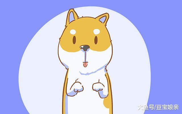 生娃后不舍得把狗送走, 朋友一句话让宝妈下定决心