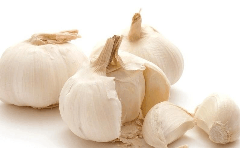 柳枝难找不用怕, 把“它”弄碎兑点水, 扦插绿植照样发新芽