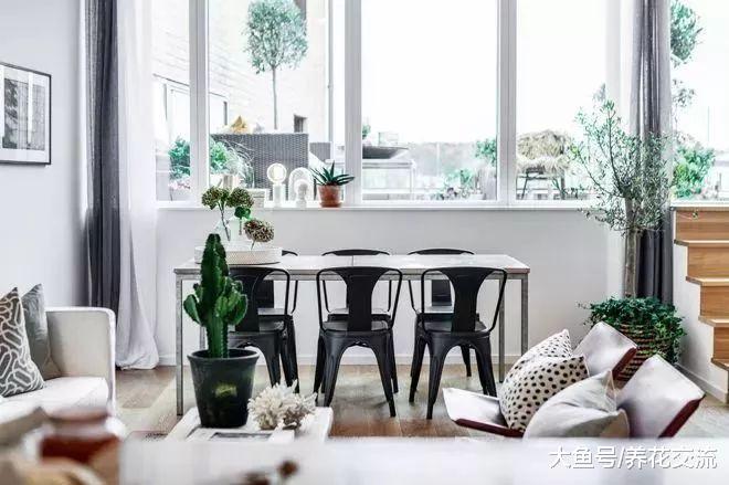 摆在家里两三米高逼格的仙人掌盆栽, 现代家居的“宠儿”