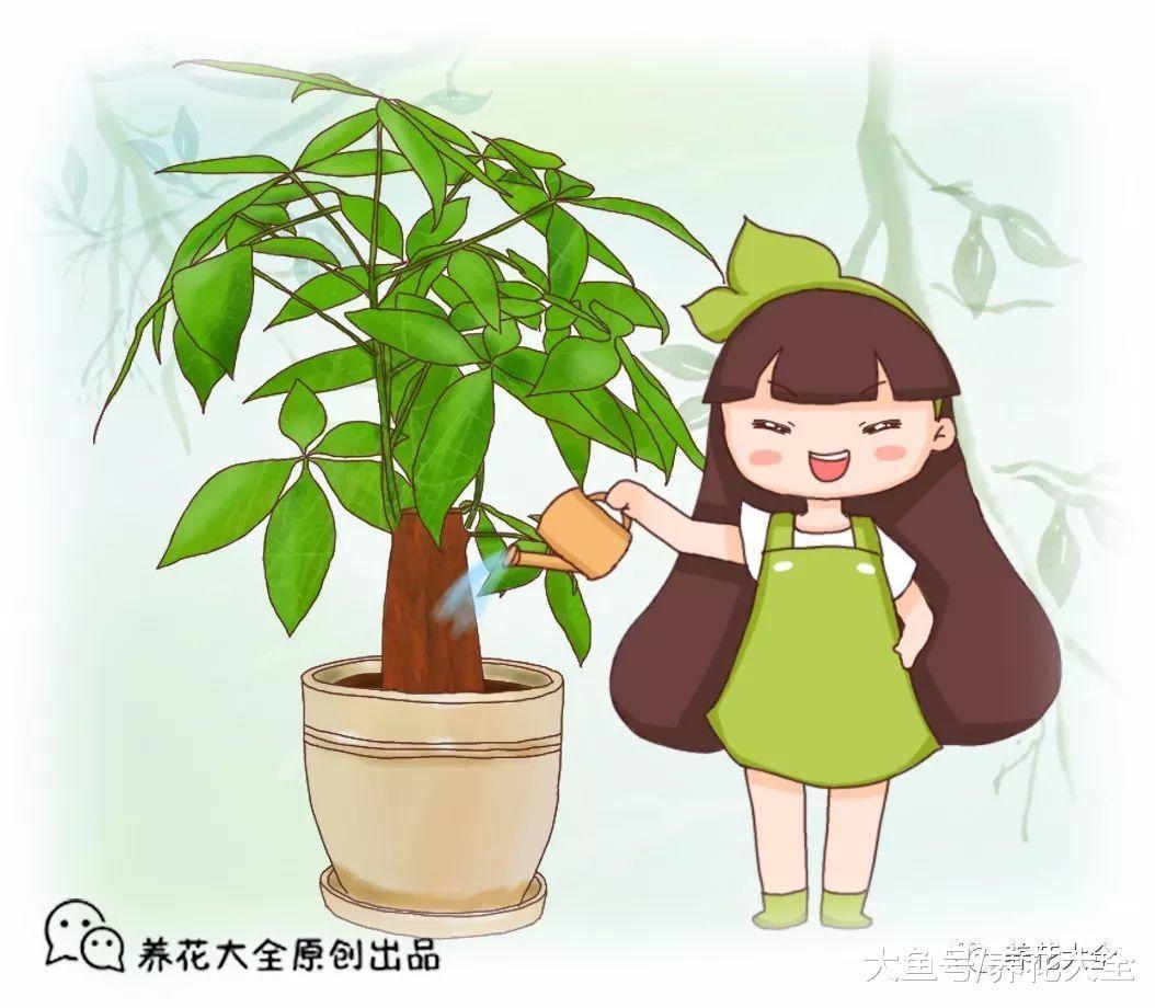 天气越来越热, 这8种花只要浇对水, 越长越茂盛!