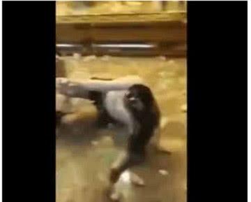 3位女孩子KTV如此大胆 身后的男子却“很淡定”网友: 果然喝酒的女人都是疯狂的