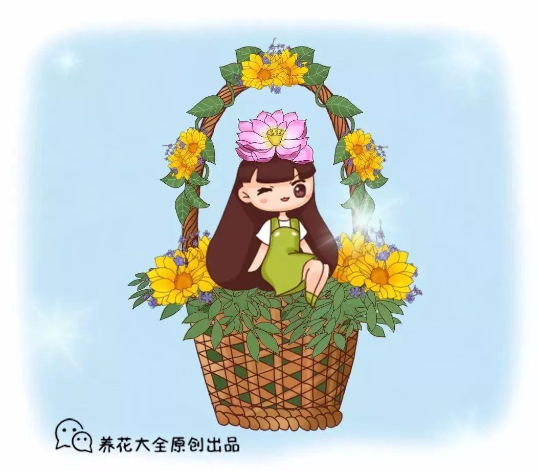 十二个月份的时令花, 个个娇艳动人, 原来守护你的就是它!