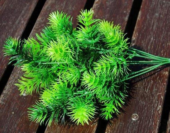 范冰冰是当之无愧的一线女星 却被外国人连续认错三次