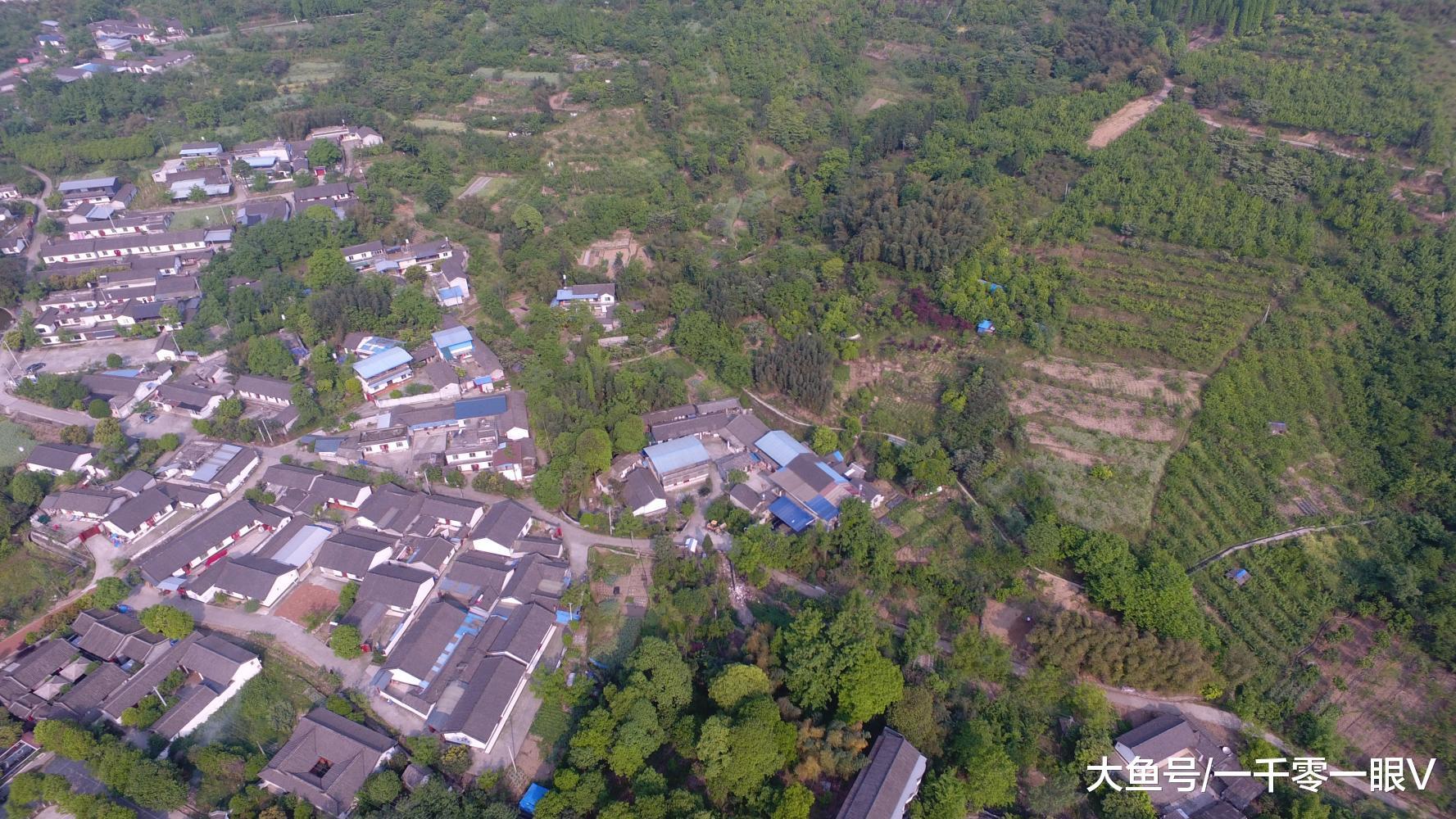 吴川市樟铺镇碧山村人口_吴川市塘缀镇图片(3)