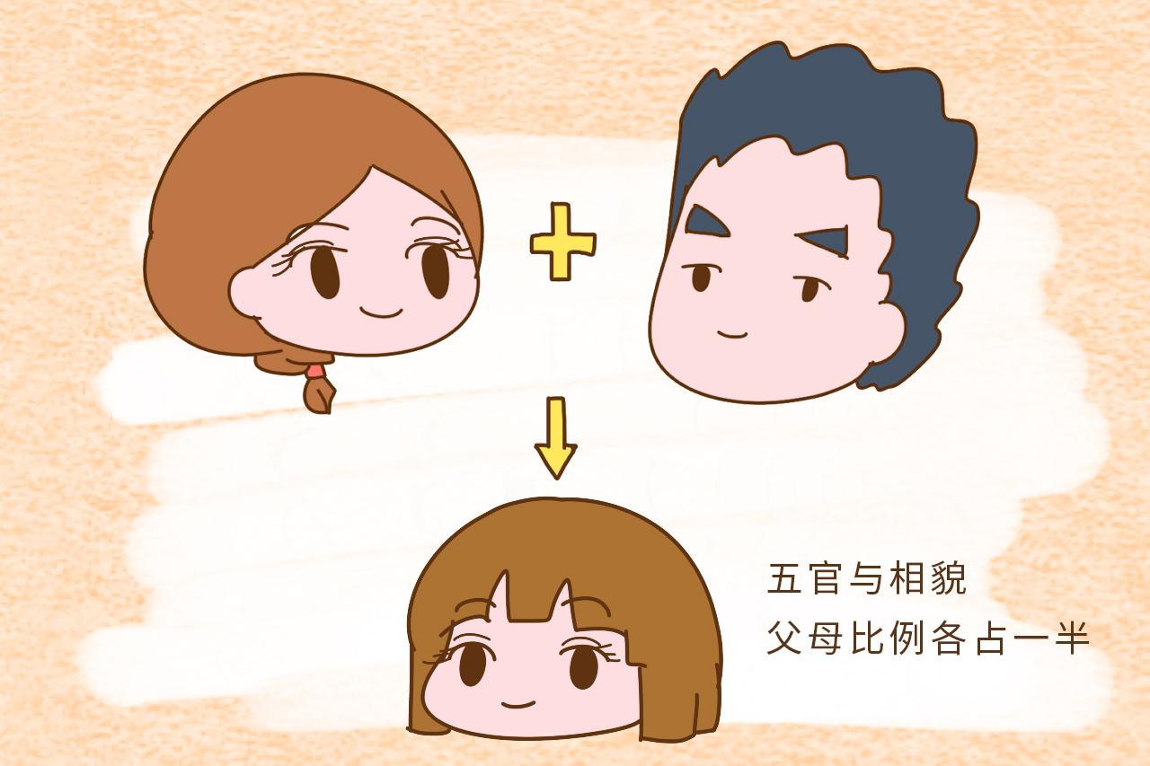 父母二人都会决定宝宝的基因, 谁占的比例大一些?