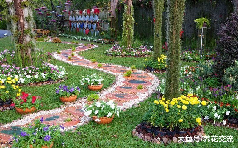 12个颜色爆炸的庭院花卉搭配, 种上这些植物就足够了