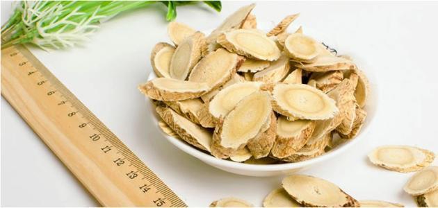 她每天用黄芪泡水喝, 半月后身体发生惊人的变化, 父母不敢相信