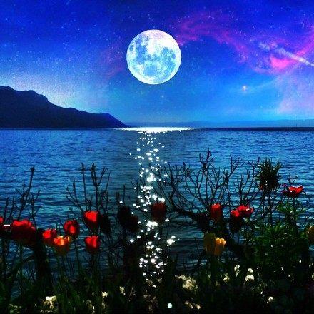 心痛流泪的qq伤感说说, 句句入心, 适合夜深人静一个人看!