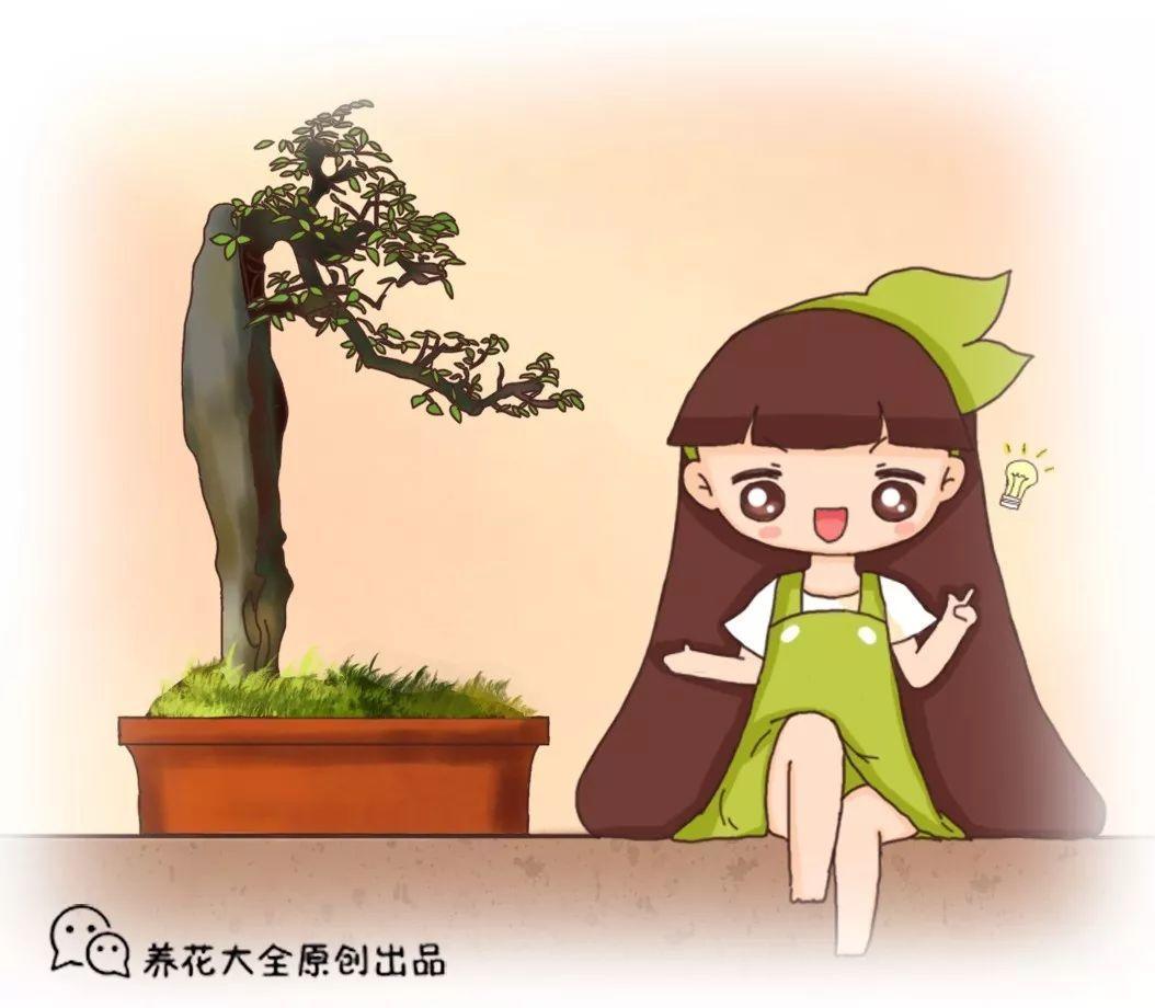 她在墙角挖苔藓, 一份不花, 半个月养成微景观!